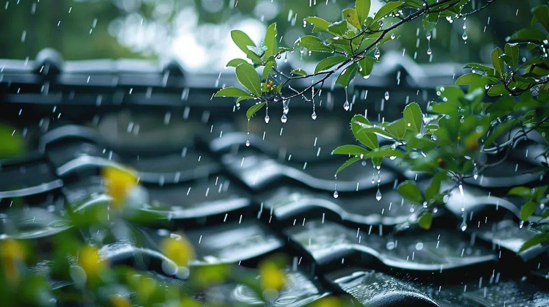 今天21时59分,龙泉正式进入……_雷雨_阵雨_多云到阴