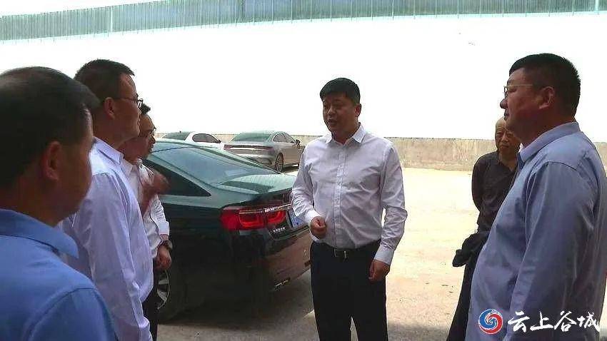 石花镇80mw农光互补发电储能项目,湖北绿色家居产业园等项目现场,详细