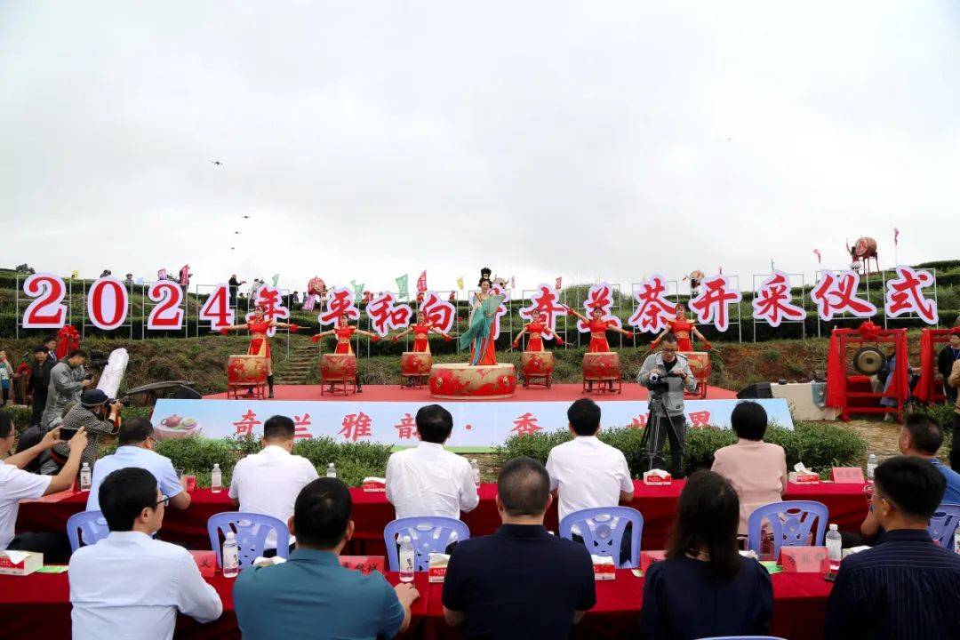 我县举行2024年平和白芽奇兰茶开采祭茶仪式