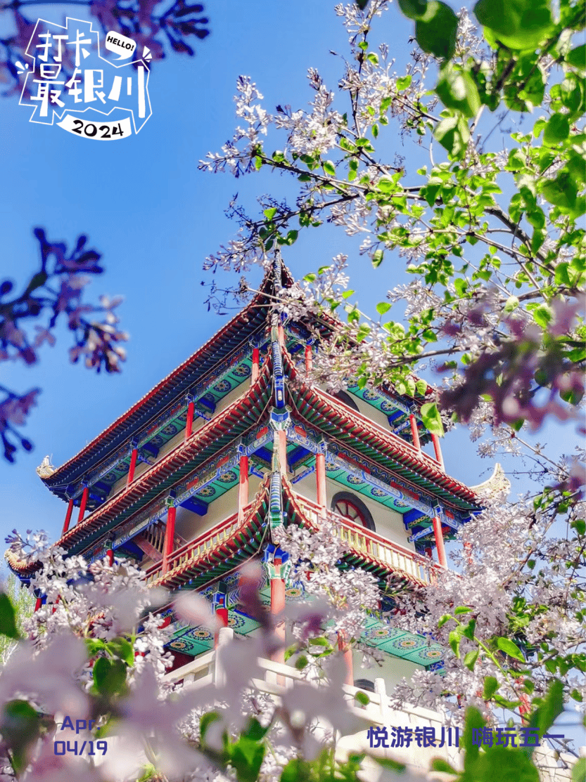 [悦游银川 嗨玩五一] 踏青赏花攻略请收好!