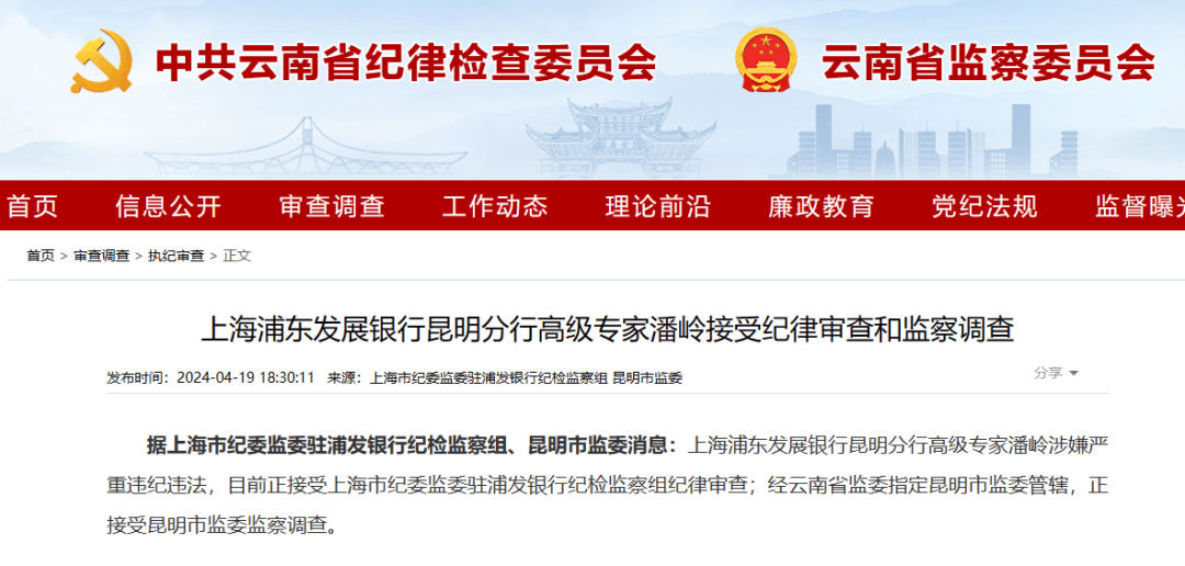 律审查；经云南省监委指定昆明市监委管辖，正接受昆明市监委监察调查。 公开信息显示，潘岭曾在浦发银行工