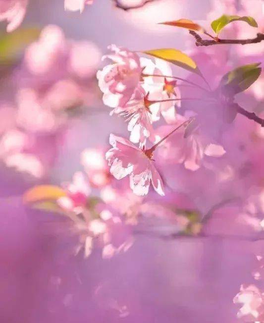 早读 | 驾驭好情绪,活得舒服惬意