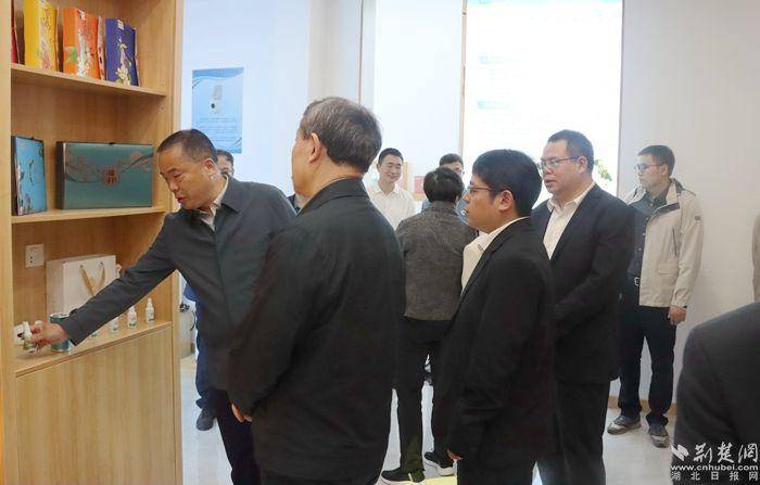 黄冈科协牵线搭台,院士专家"组团"加盟