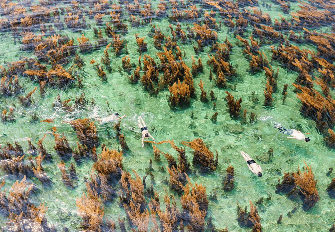 海底世界_海岛_火山岛