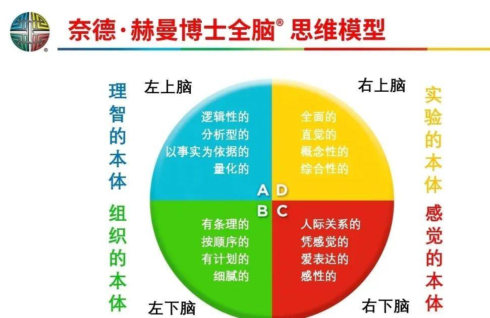 hbdi全脑优势是指赫曼大脑优势量表(herrmann brain dominance