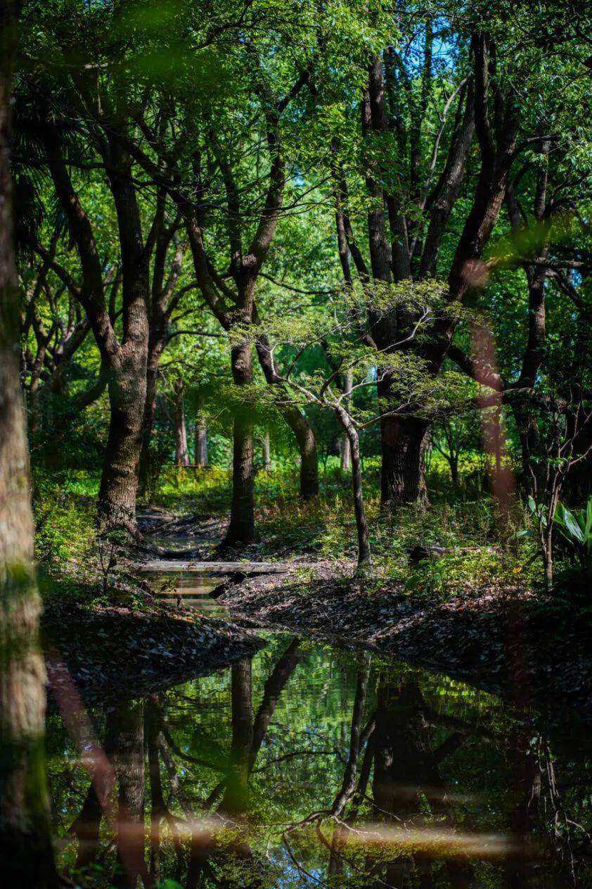 松弛感满满!春日,一起去这些宝藏房车营地"野"一下