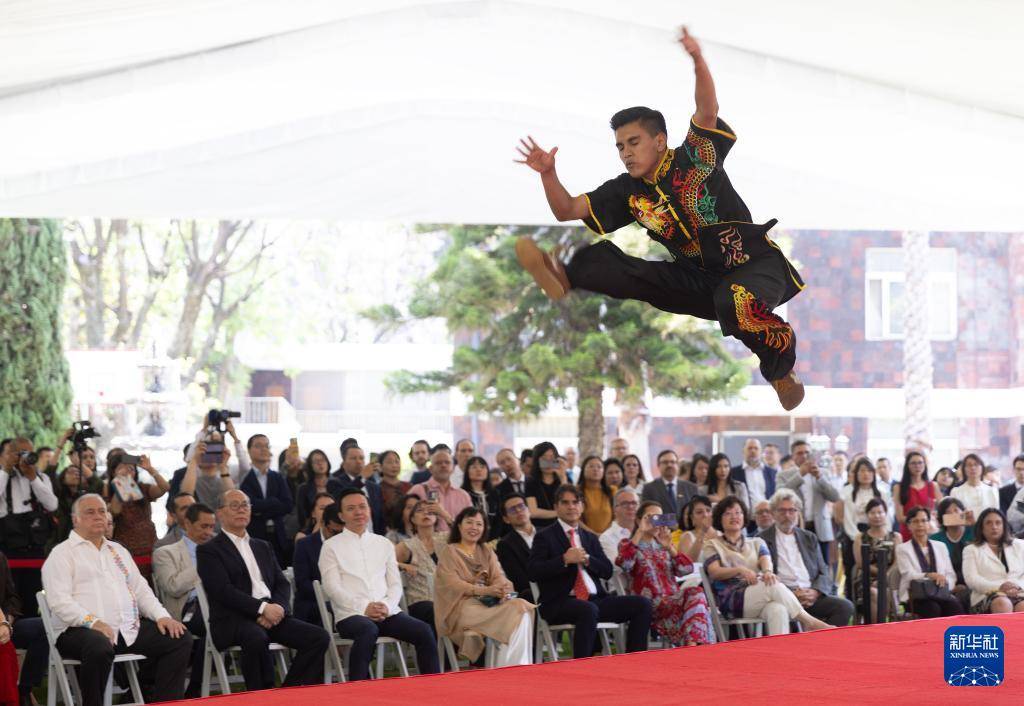 "中国文化日之中国武术"活动在墨西哥举行(高清组图)