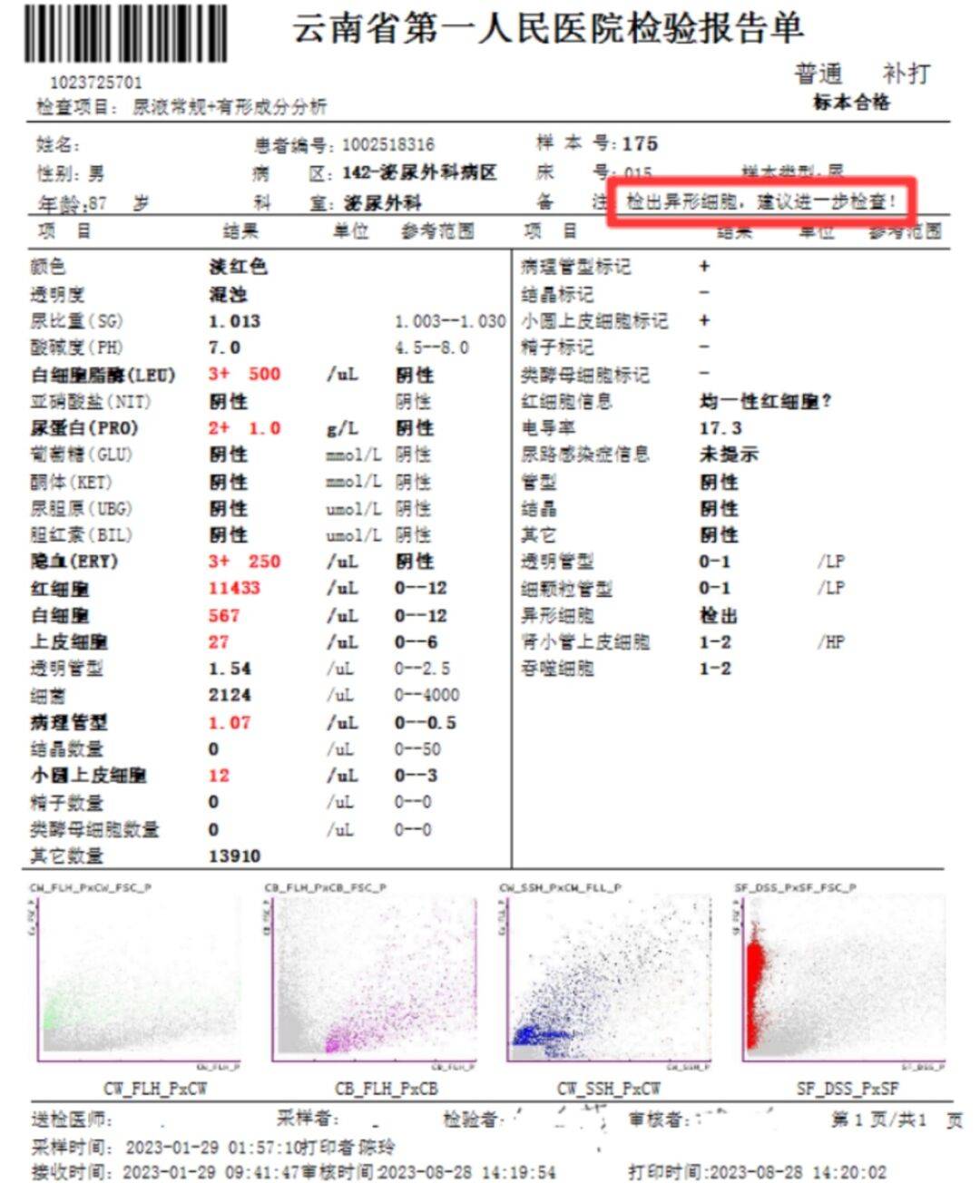 前列腺液检验报告单图片