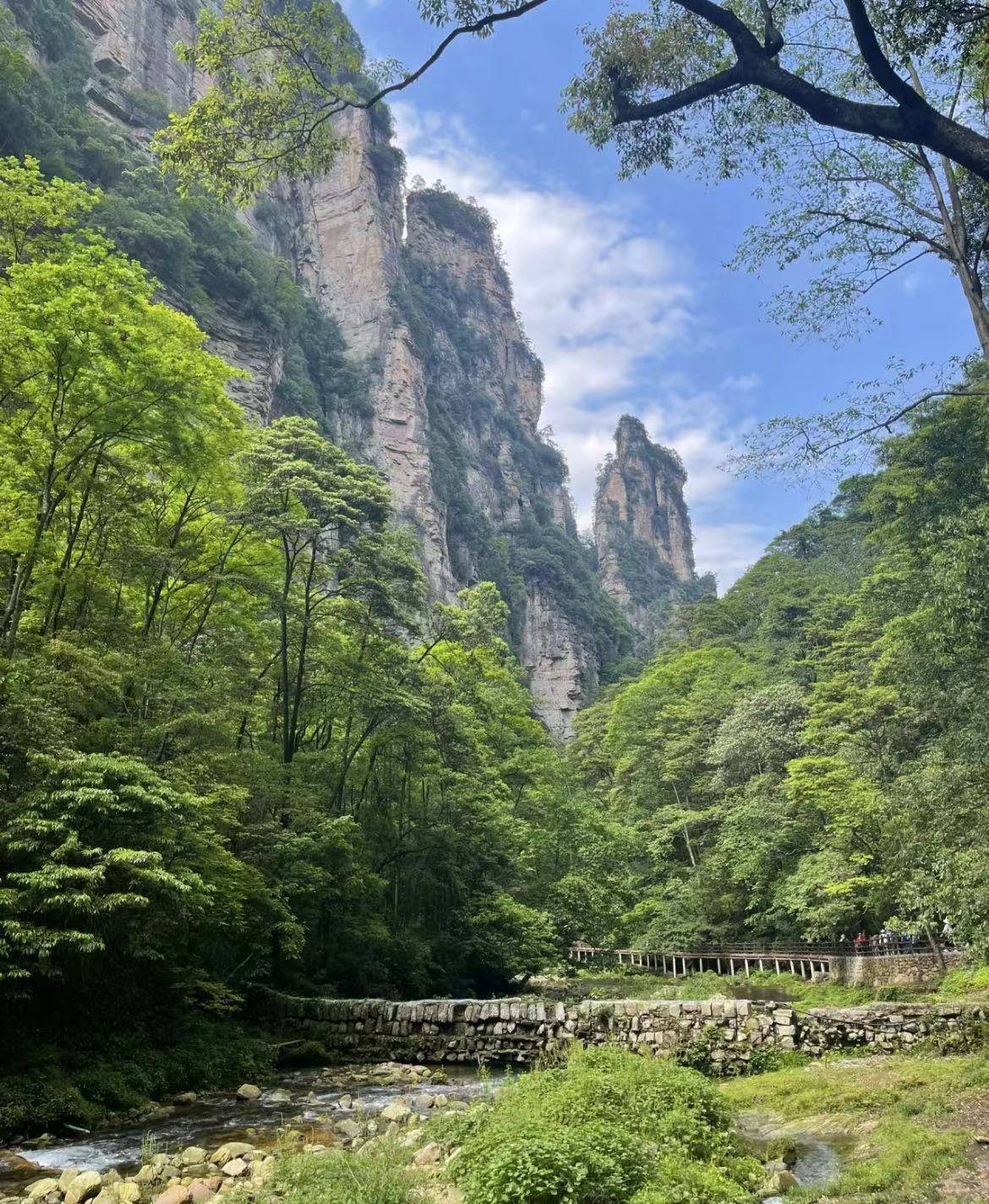 张家界天气旅游攻略 ,超全保姆级攻略,需要的收藏!