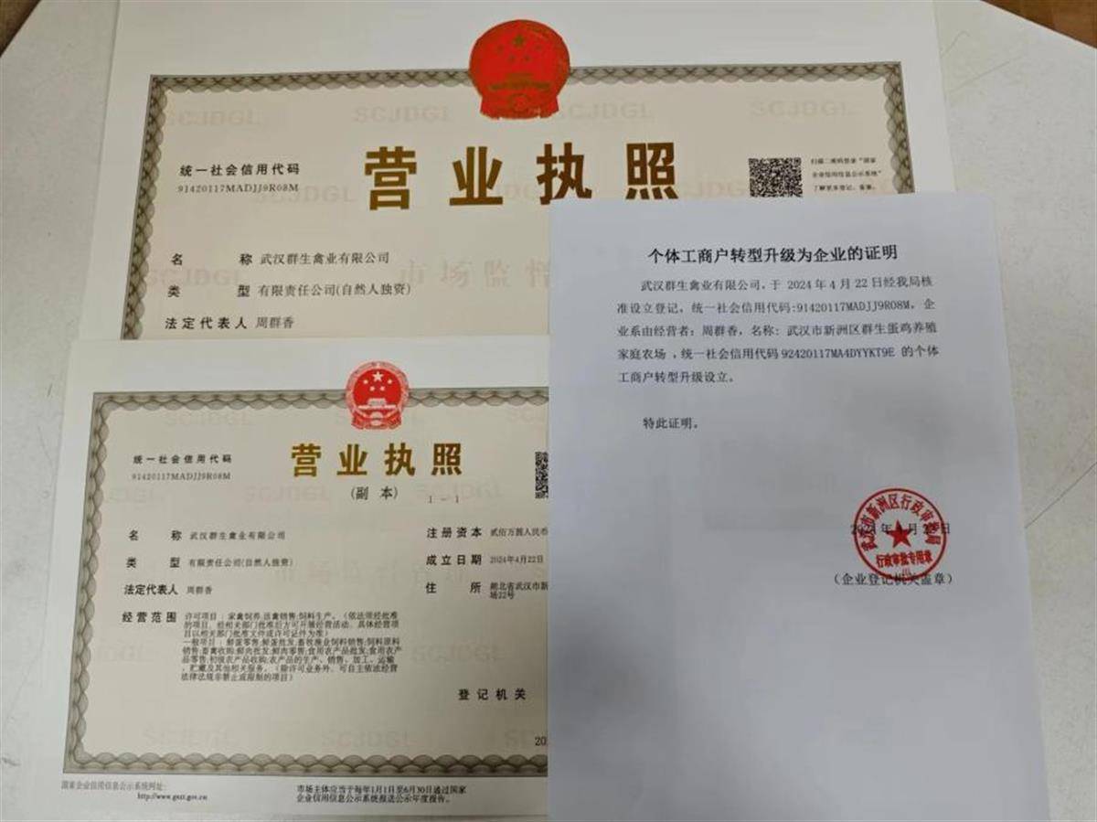 周女士在李集街四龙村成立了武汉市新洲区群生蛋鸡养殖家庭农场