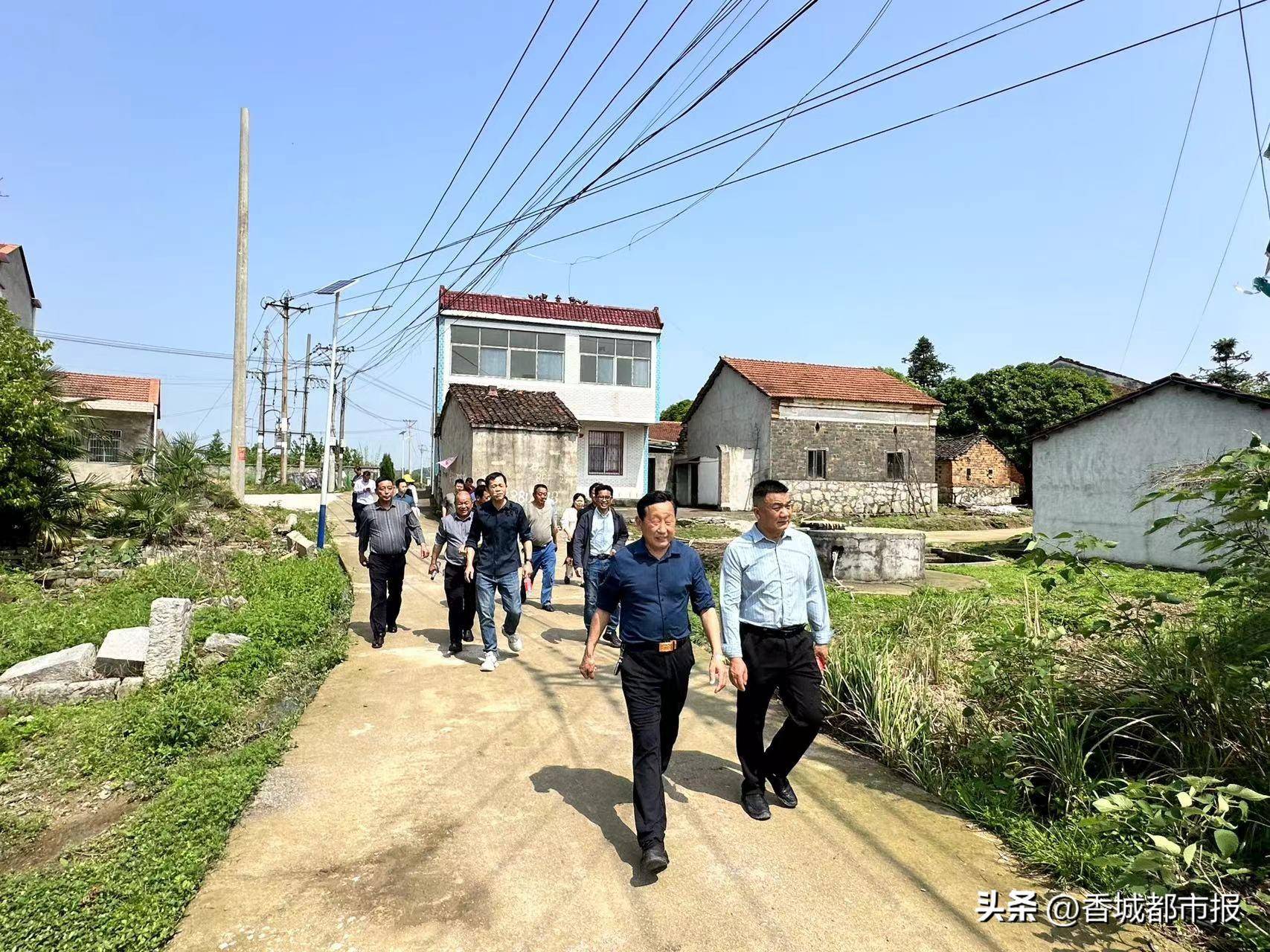 现场看 实地查 当场听 集体评——双溪桥镇开展拉练检查推进乡村环境