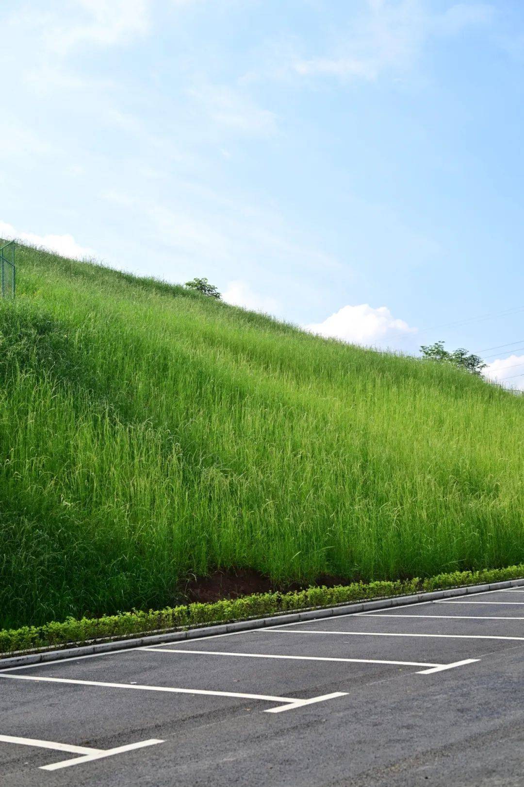 腾龙大道的重要交通干道作为联通长嘉汇弹子石老街设计速度30公里