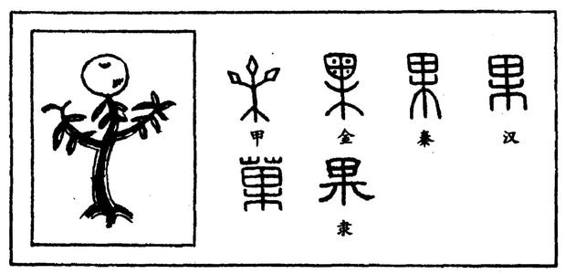"裸"字的结构是由"衤"和"果"字组成,"衤"是一个部首,同"衣",俗称"衣字
