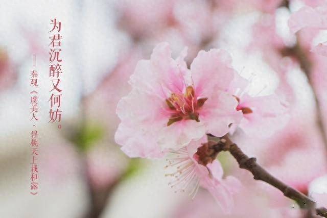 4月28日爱情运势,这个星座桃花运看涨有机会结识不错的对象