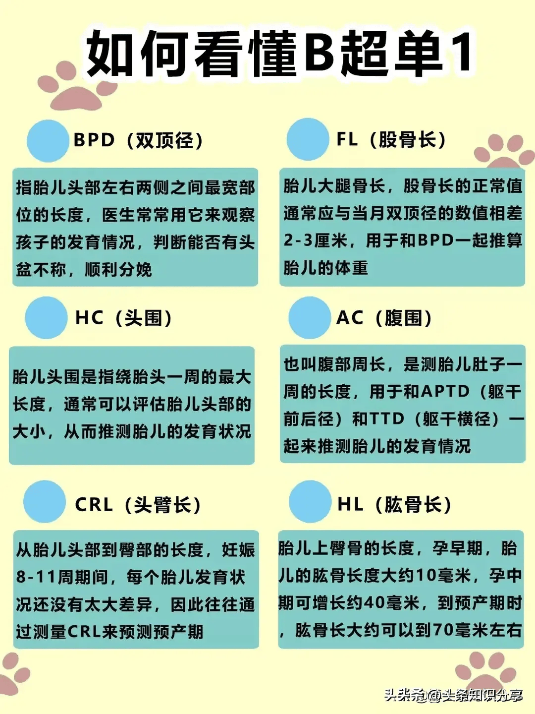 顶臀径是什么意思图片