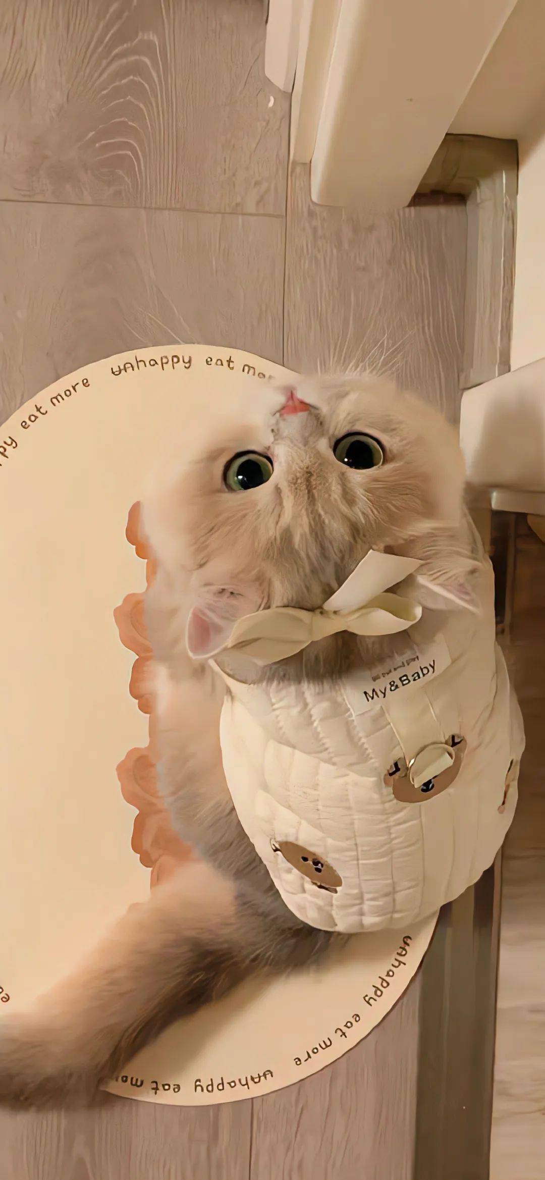 壁纸 | 元气满满的高清壁纸