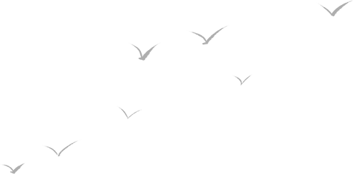 温馨提示 | 关于大型原创舞剧《西施》武汉站卡司更换公告