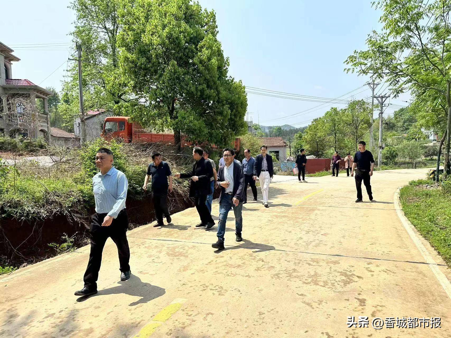 现场看 实地查 当场听 集体评——双溪桥镇开展拉练检查推进乡村环境