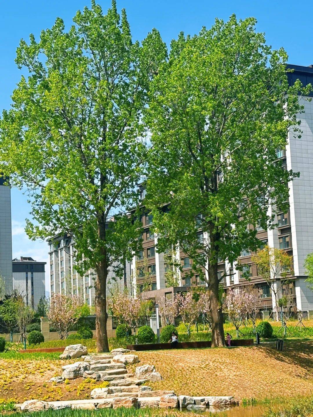 新添免费公园!走,去公园放20分钟假