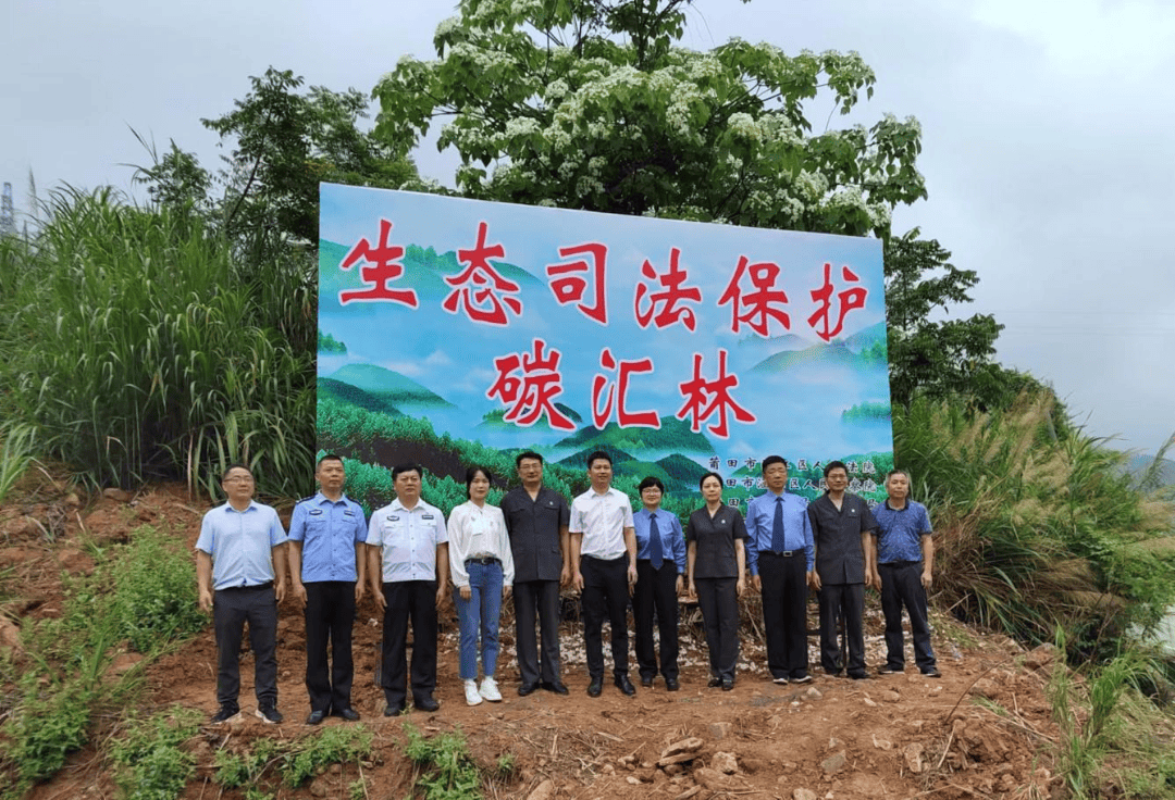 创新设立"碳汇林" 加快打造生态修复"莆田样板"