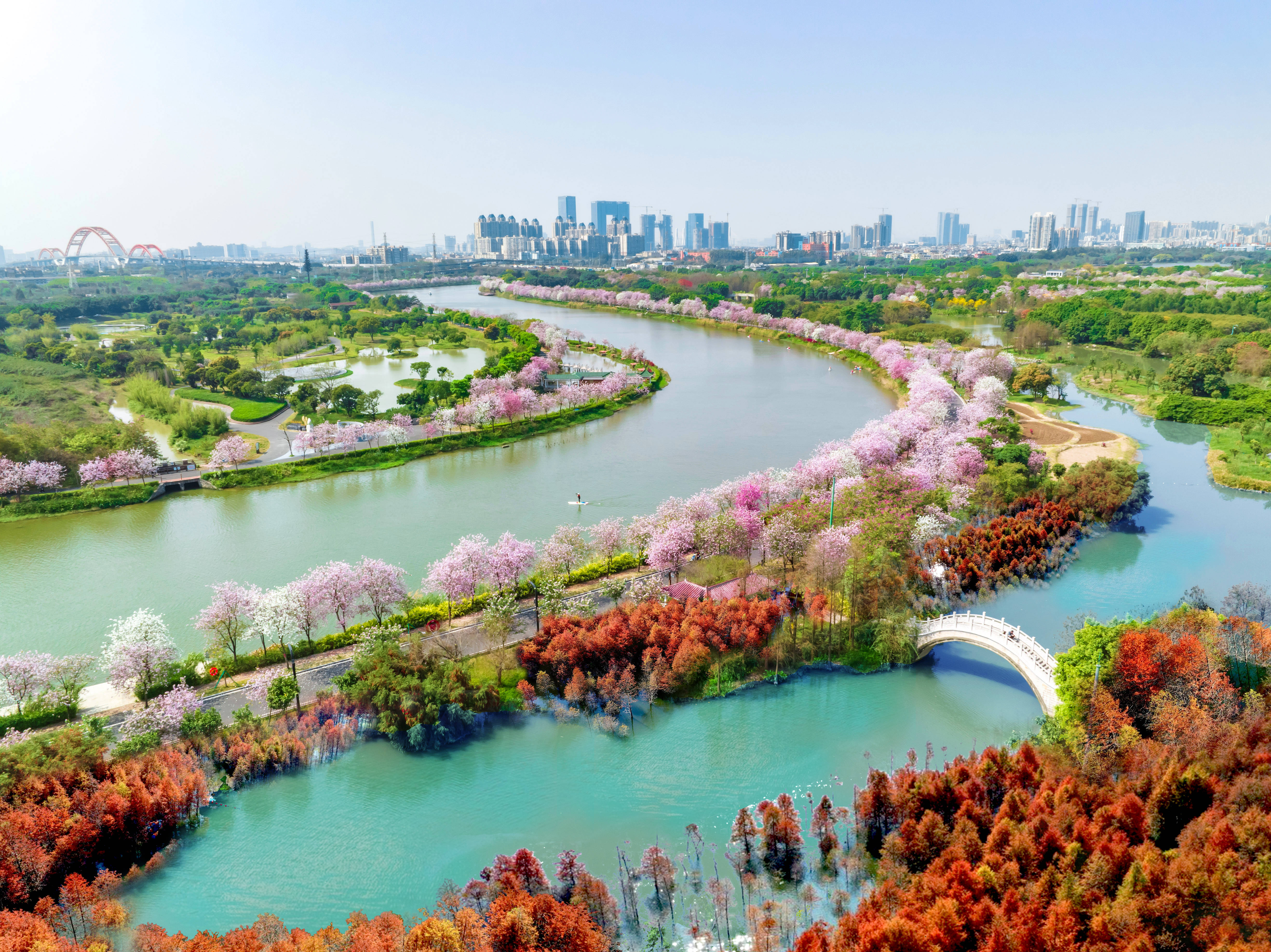 广州获全省林长制考核第一,绘就美丽广州生态画卷