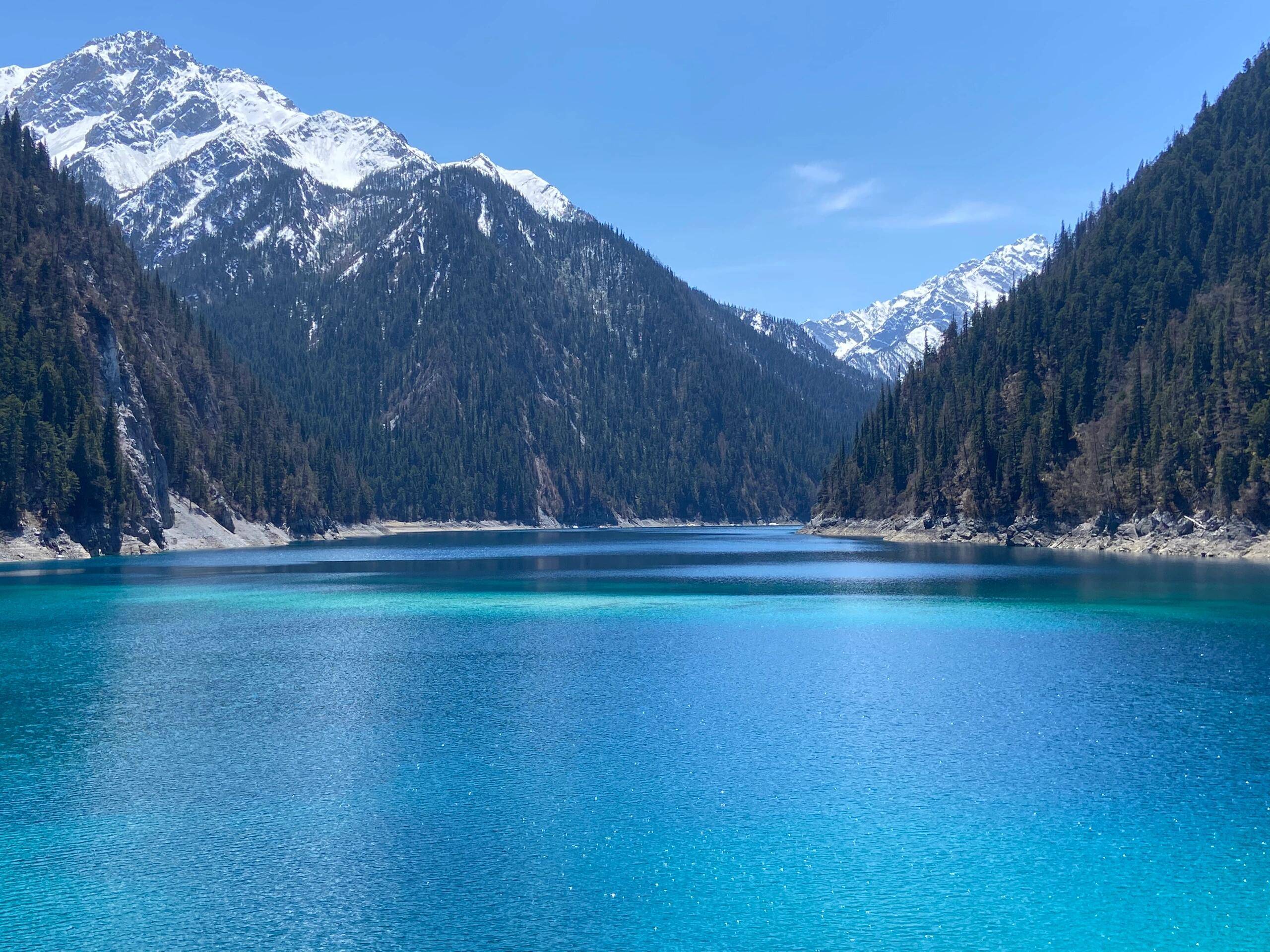 四川家庭旅游2日 丨人均800不踩坑!