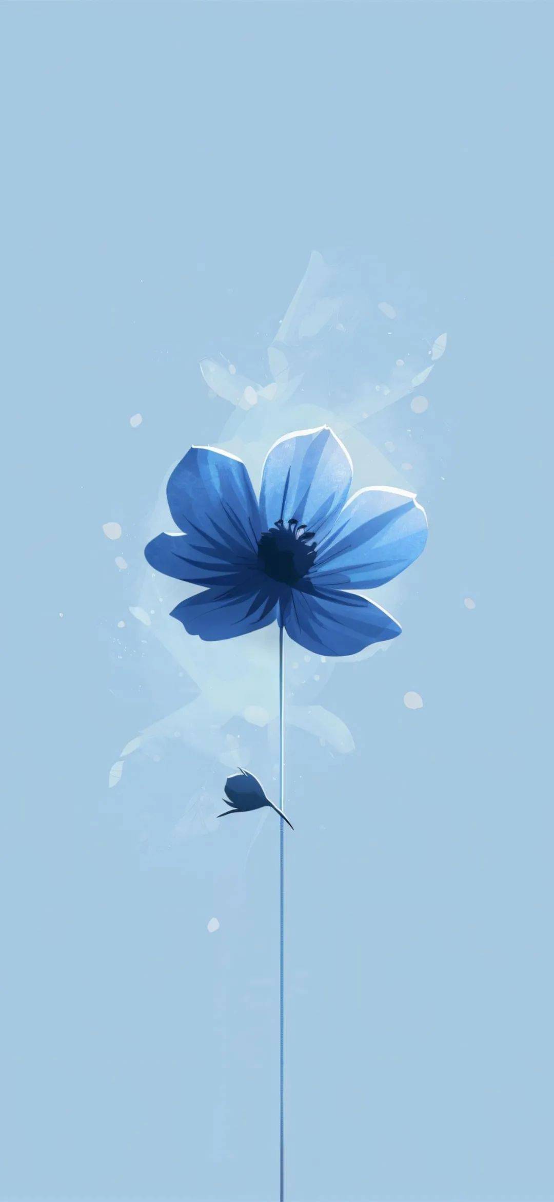 背景 壁纸 矢量 植物 种子 1080_2341 竖版 竖屏 手机