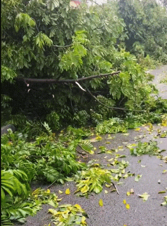 狂风暴雨