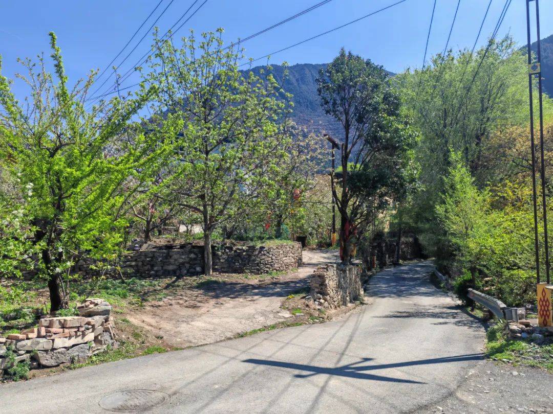 理县|官田村整治人居"小环境" 绘就和美"新图景"