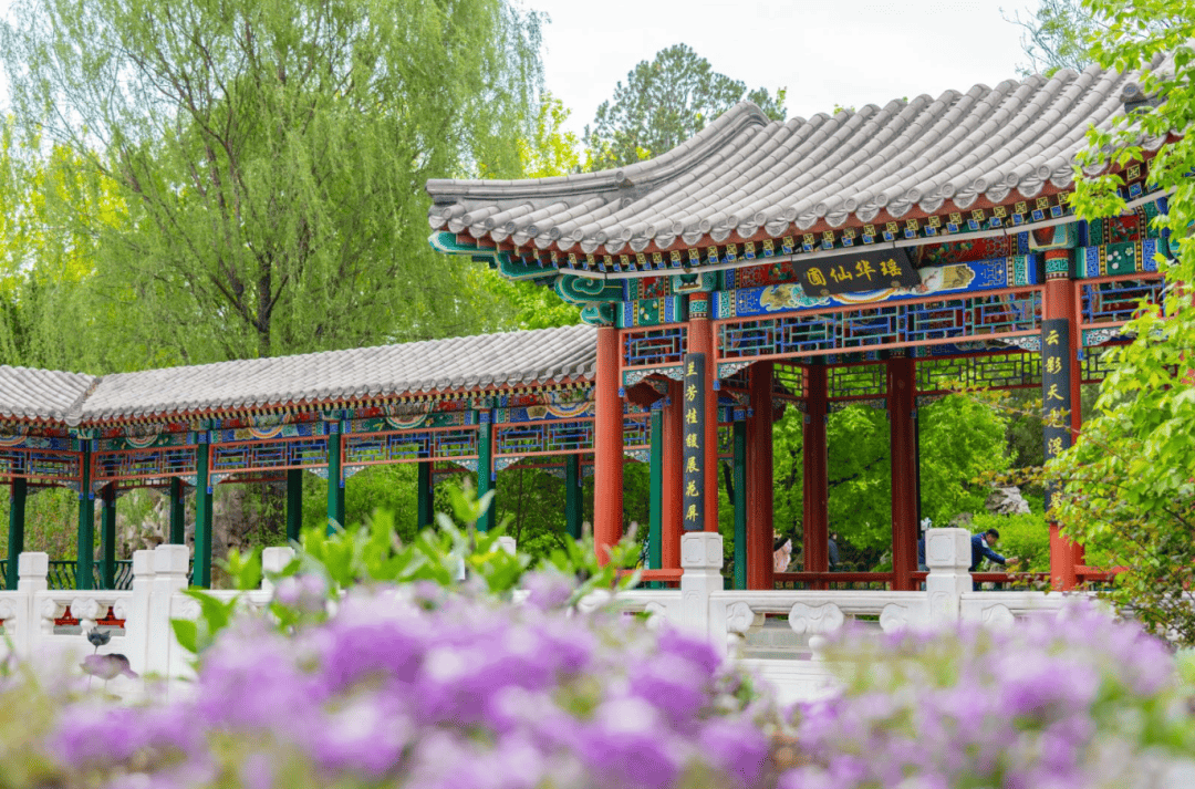 第五届北京国际花园节开幕！世园精彩抢“鲜”看——