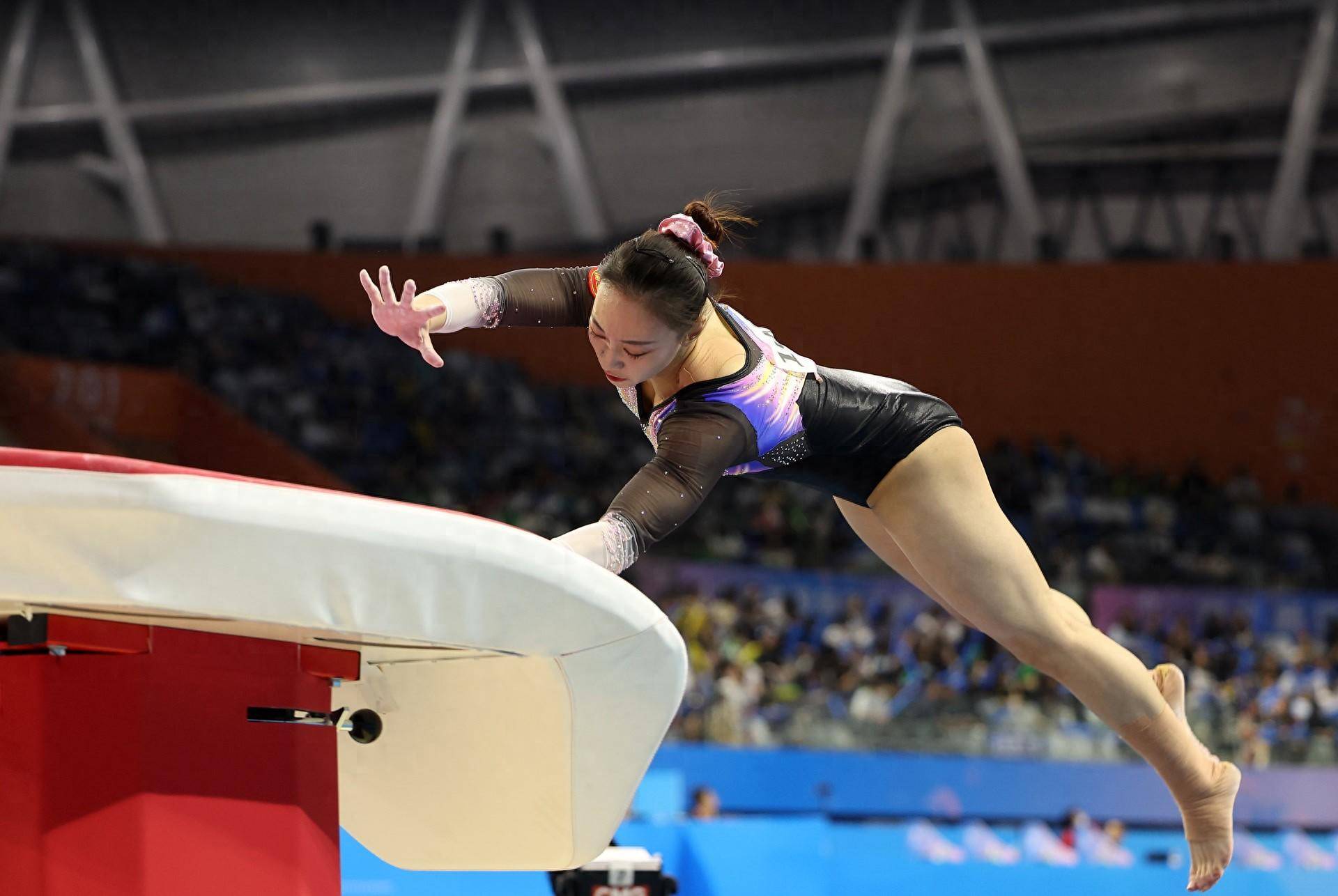 全国体操锦标赛 邹敬园鞍马摘金 刘洋吊环夺冠