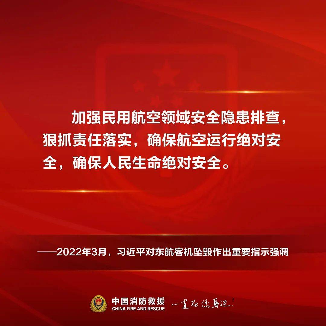 安全生产不能马虎，更不能抱侥幸心理，要依法依规严谨操作。_发展_论述_习近平