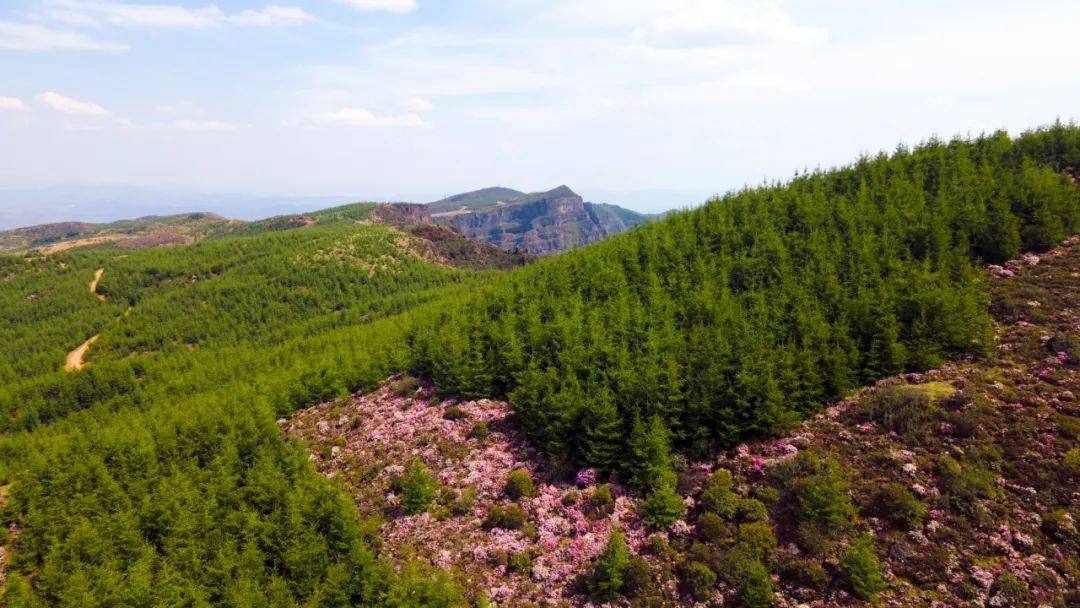 昭通轿顶山图片