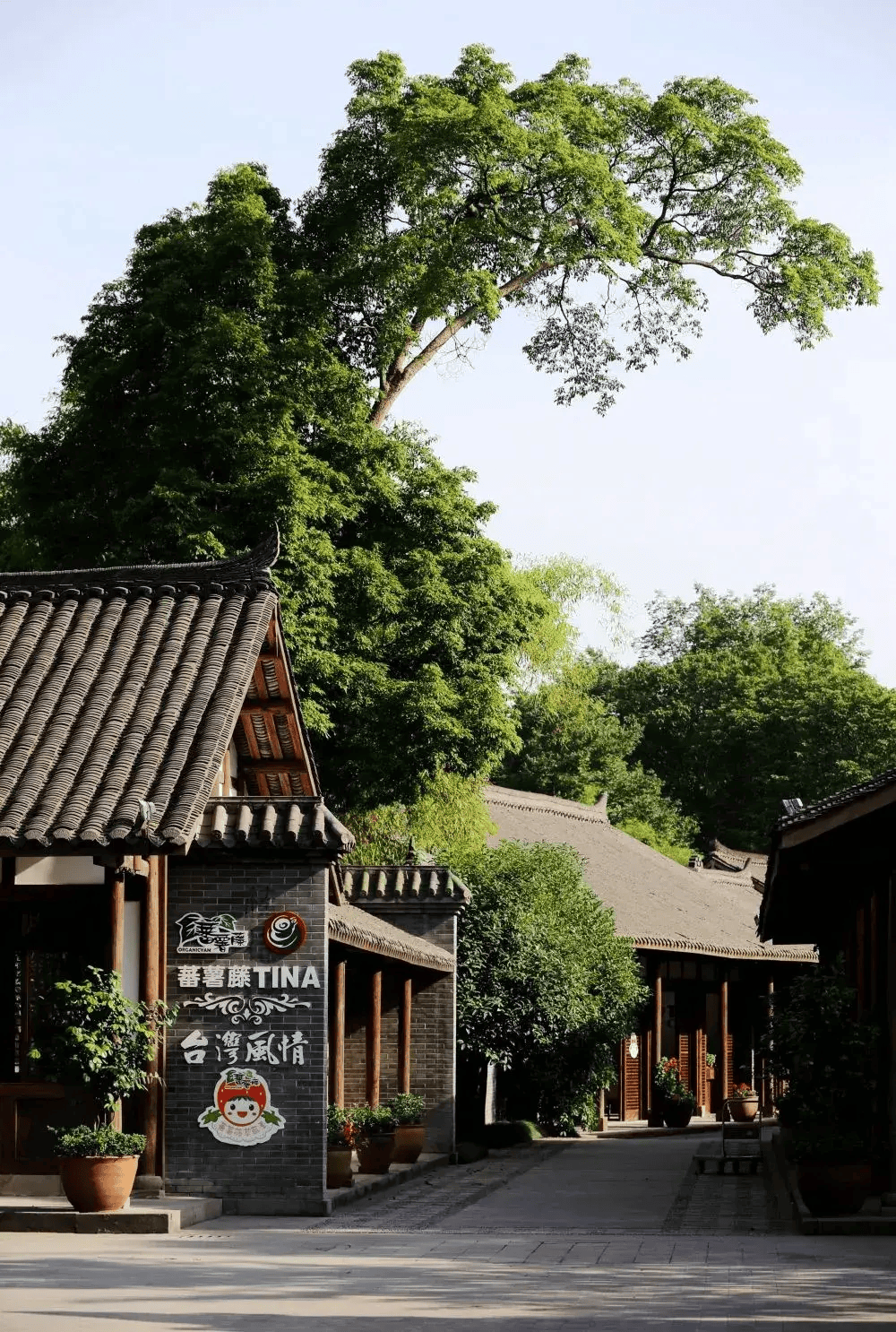 逛世园 游新津!"五一"这样玩