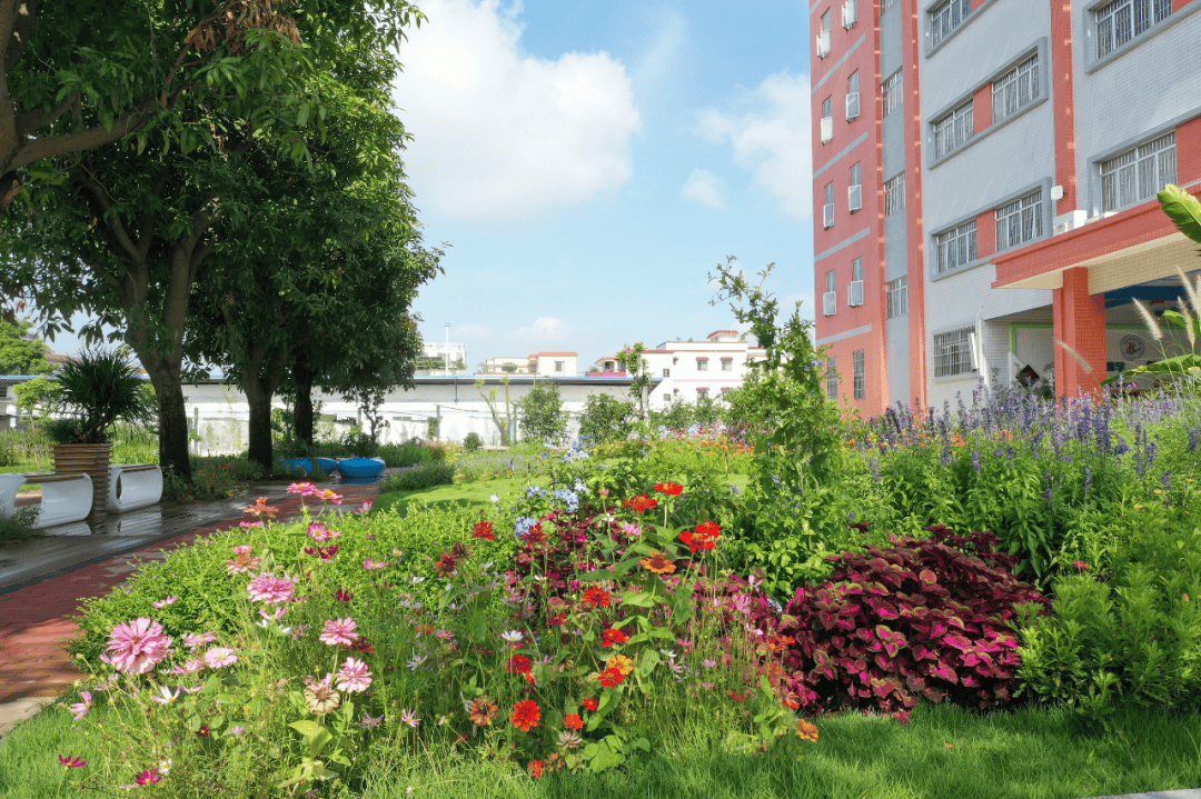跟江海学子沉浸式感受绿美校园_绿色_低碳_一手