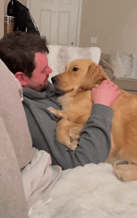 主人和男友分手,最伤心的居然是狗子,感觉它下一秒就要哭了!