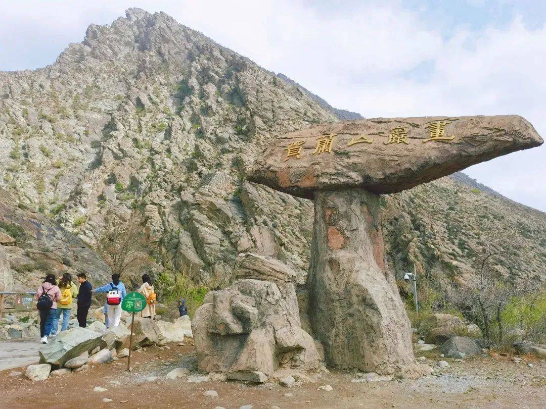 畅游宁夏·悦享生活 | 西夏区"五一"活动大合集!让你嗨玩这个小长假!