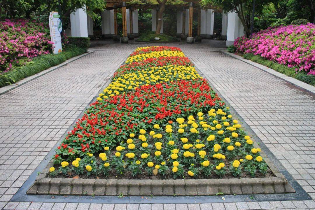 "五一"国际劳动节,普陀区各公园花坛盛装迎客!