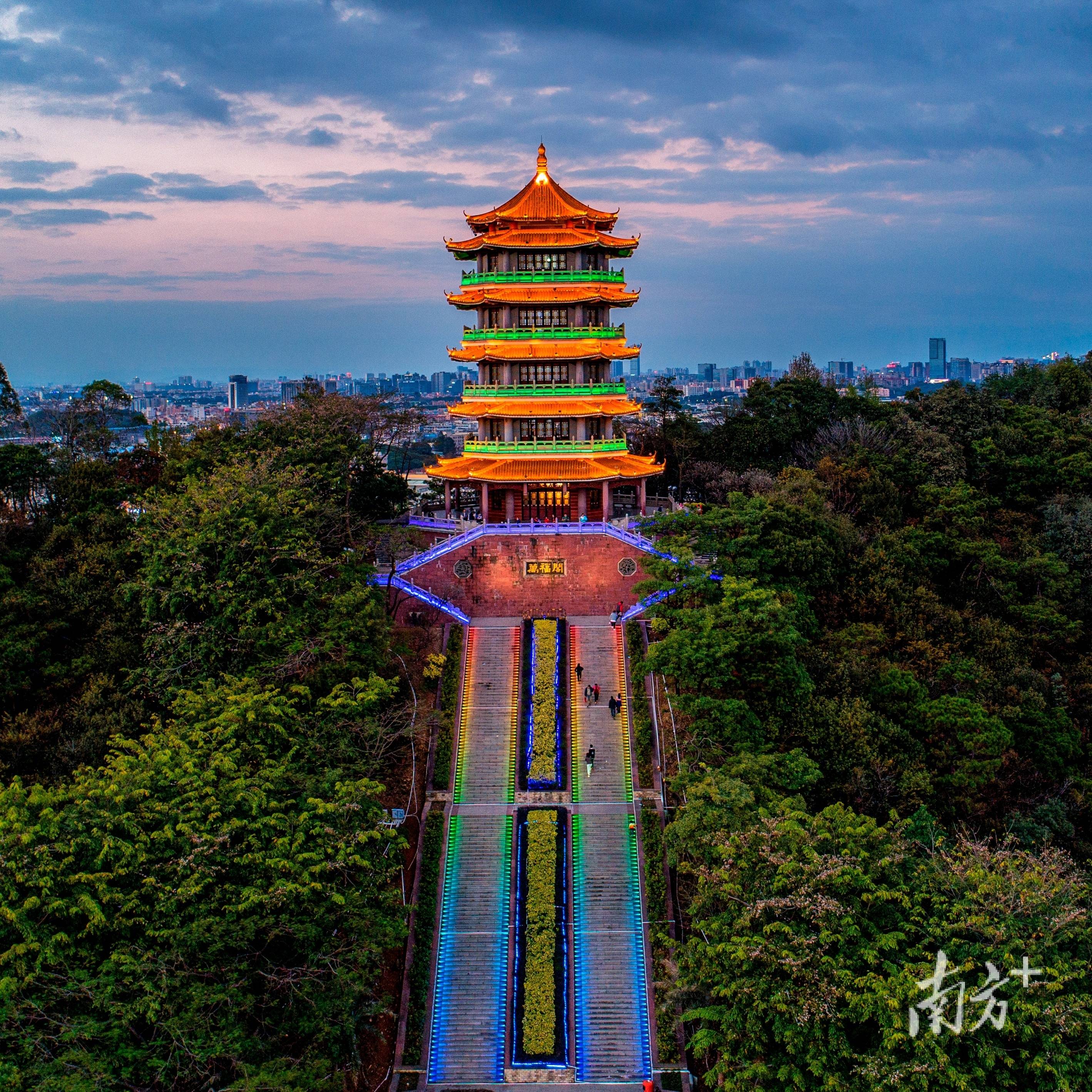 厚街福神岗公园女尸案图片