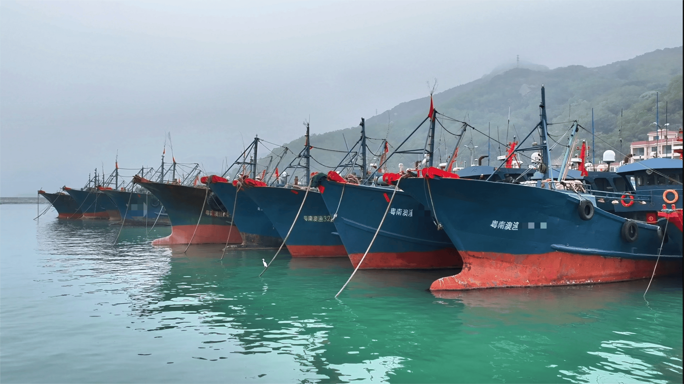 5月1日起南海伏季休渔_渔船_执法_广东
