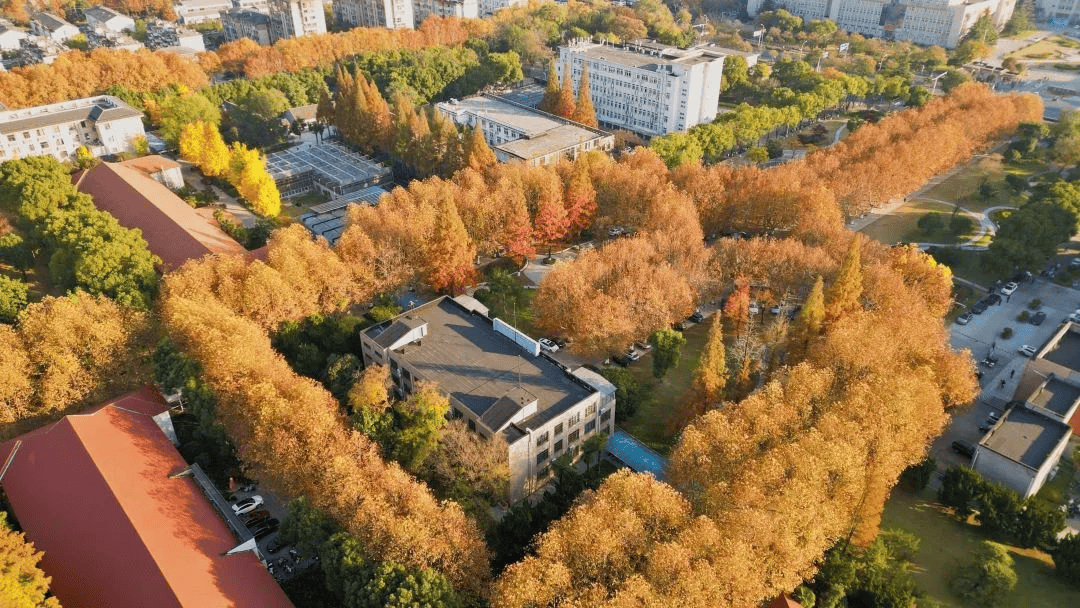 廣州松田學院改名_廣州松田學院恐怖之處_廣州松田學院