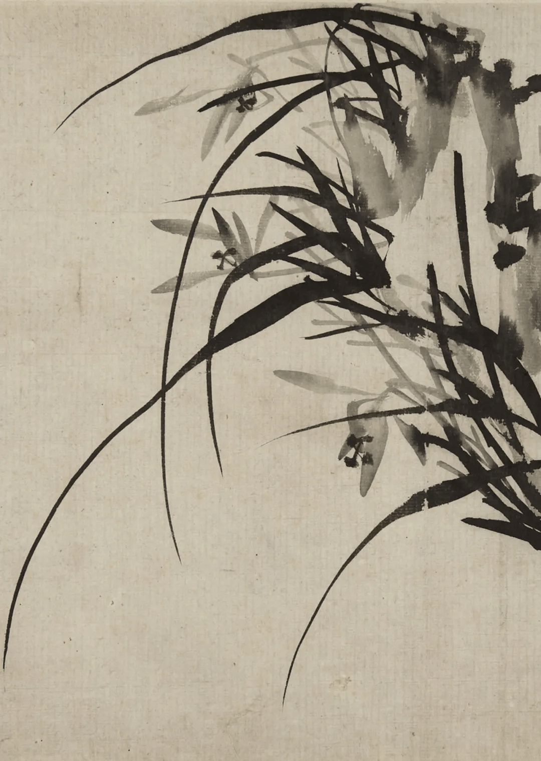 这组水墨兰竹，清雅飘逸_扬州_花鸟画_宫廷