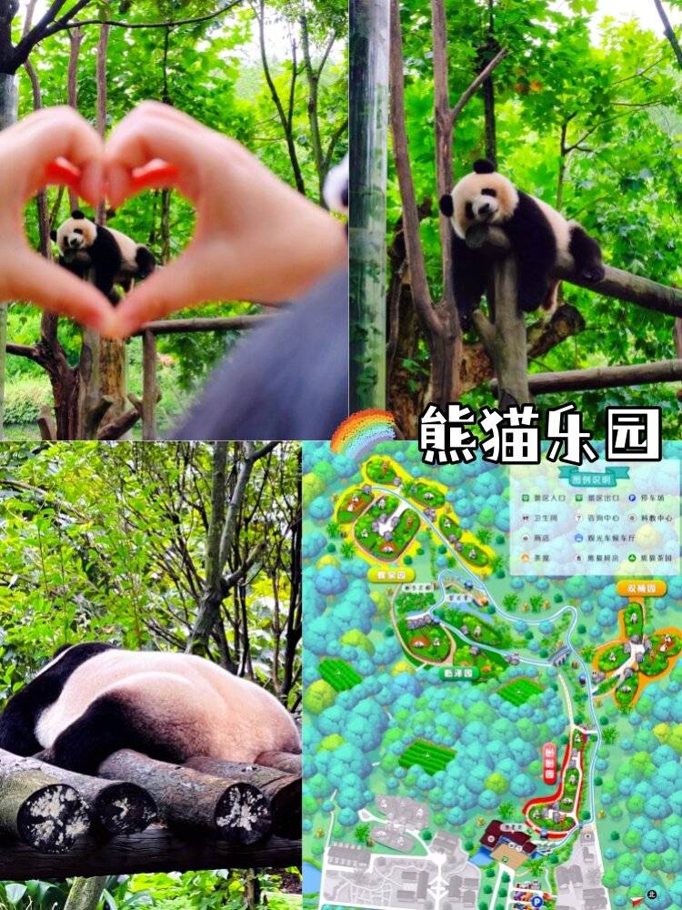 热点排行榜_一周热点新闻排行榜