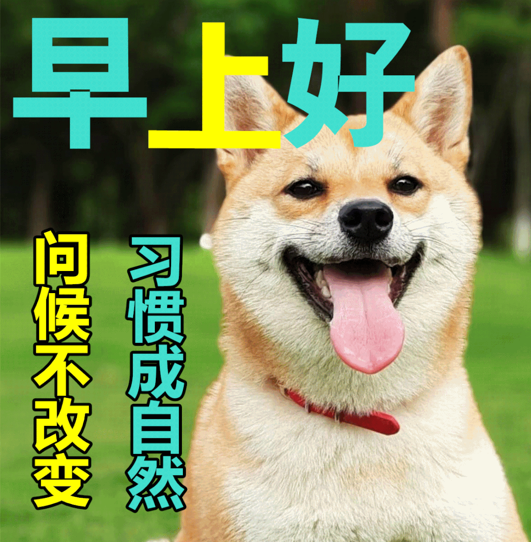 ​5月5日最漂亮早上好动态表情图片及早晨好动图美图大全