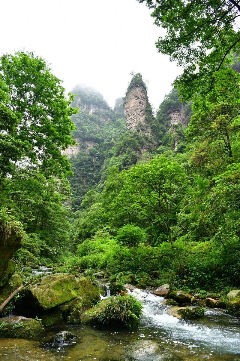 旅游张家界报价多少合适呢 ,穷游党集合,这篇攻略让你