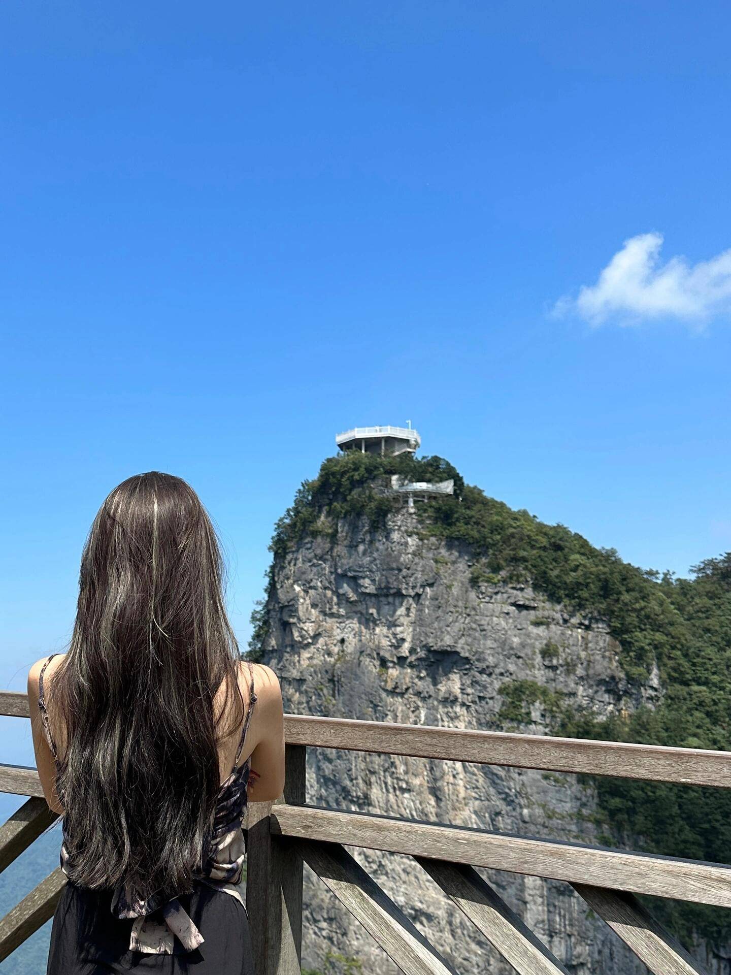 张家界森林公园南门一天旅游攻略 ,游玩路线攻略!游玩