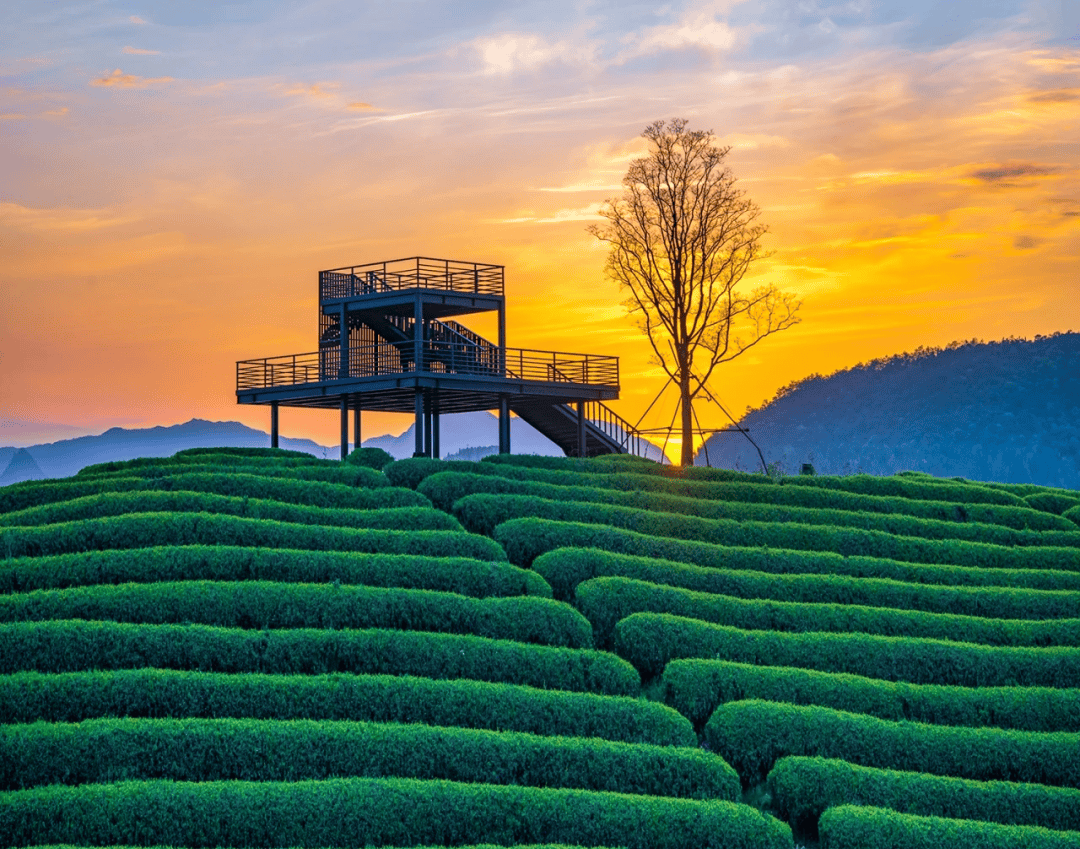 火热报名中|跟着富盛抹茶马拉松去旅行,给我一步,还你千年