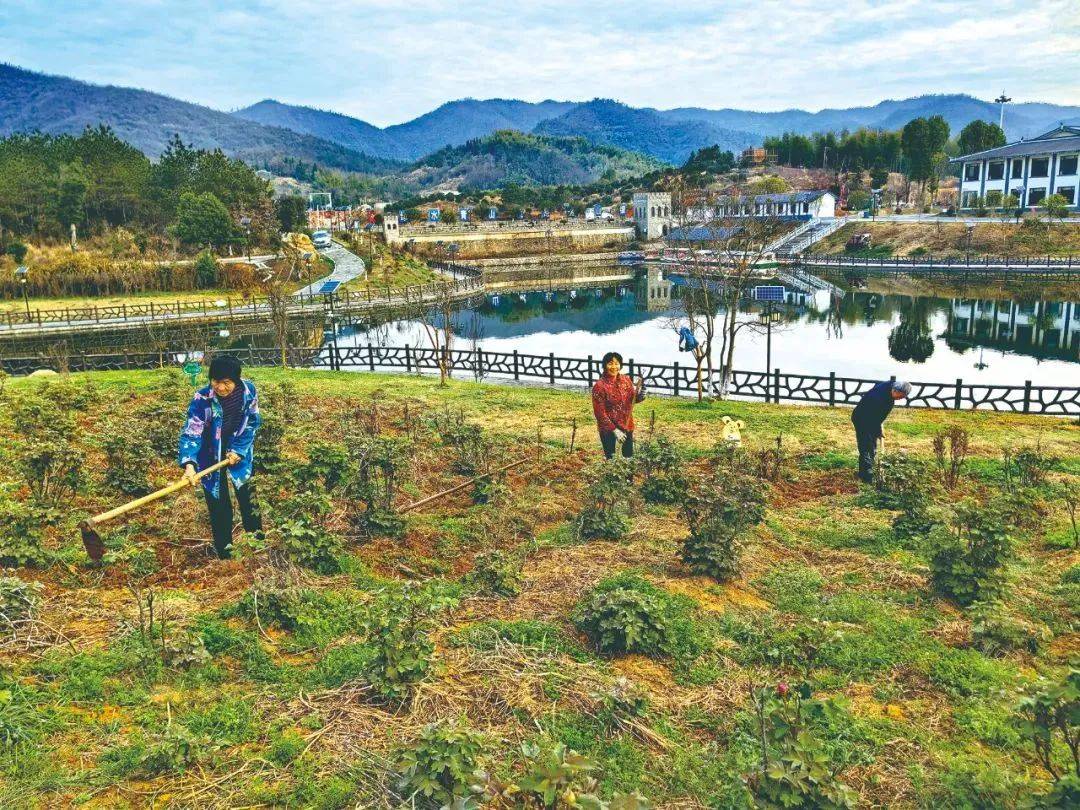 熊熊一团火——崇阳县石城镇西庄村熊存志率领乡贤振兴乡村纪实