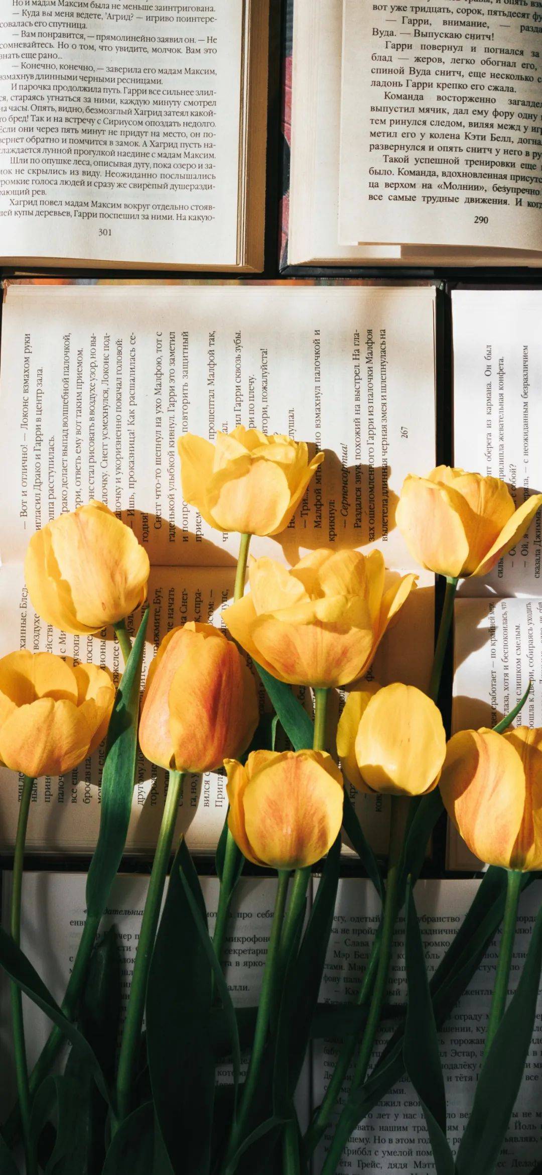 壁纸 | 治愈系梦幻锁屏壁纸