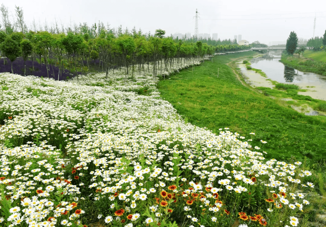 春游江淮 | 遇见五月,感受新汴河的风采~_宿州_供水_美景